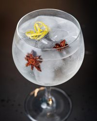 Gin tonic glass